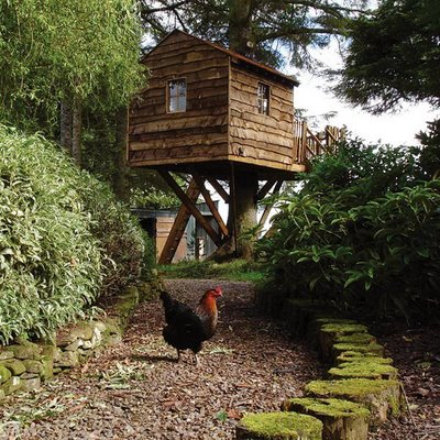 treehouse via cup of jo