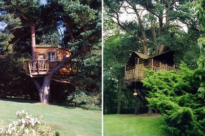 tree house via cup of jo